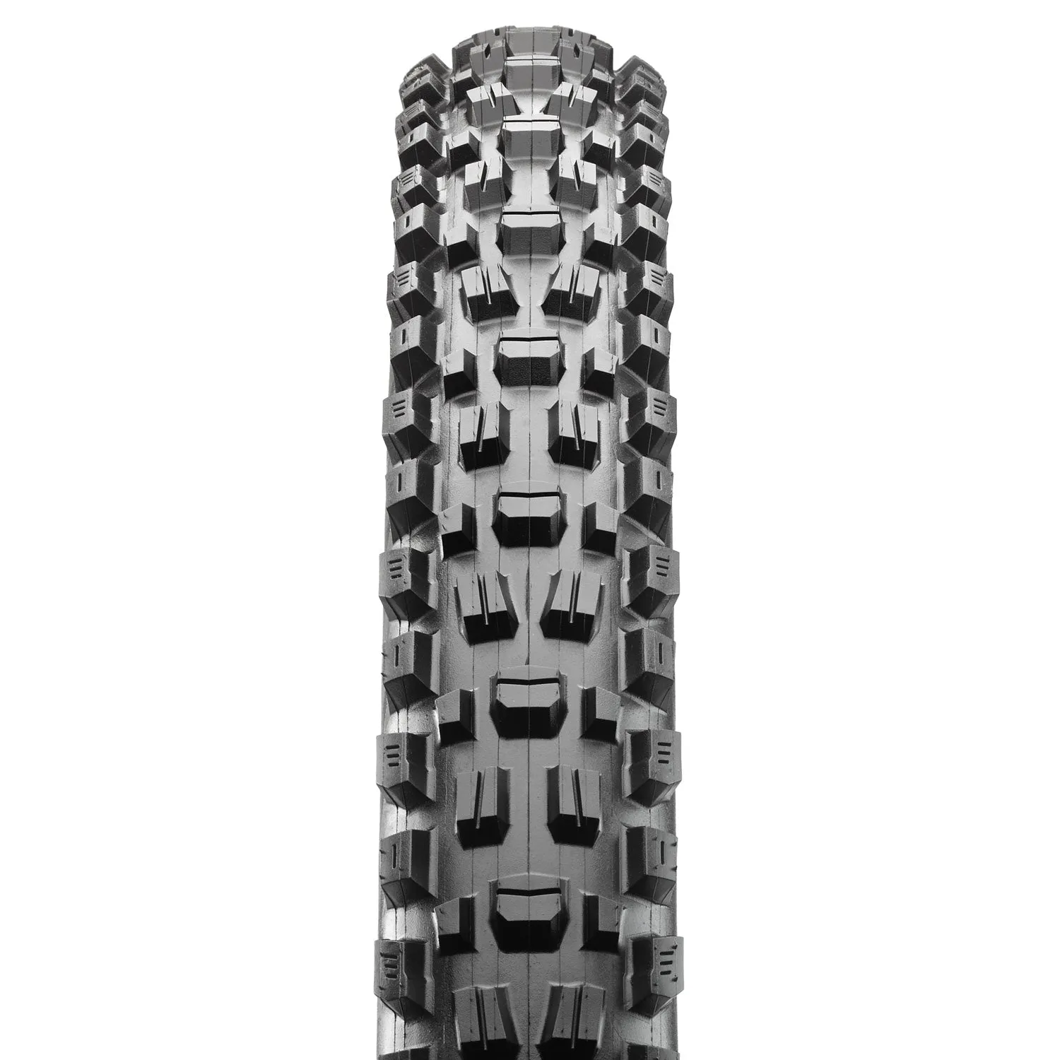Assegai - 29 X 2.50WT - Foldable, 3C Maxx Grip, EXO , 120TPI, TR