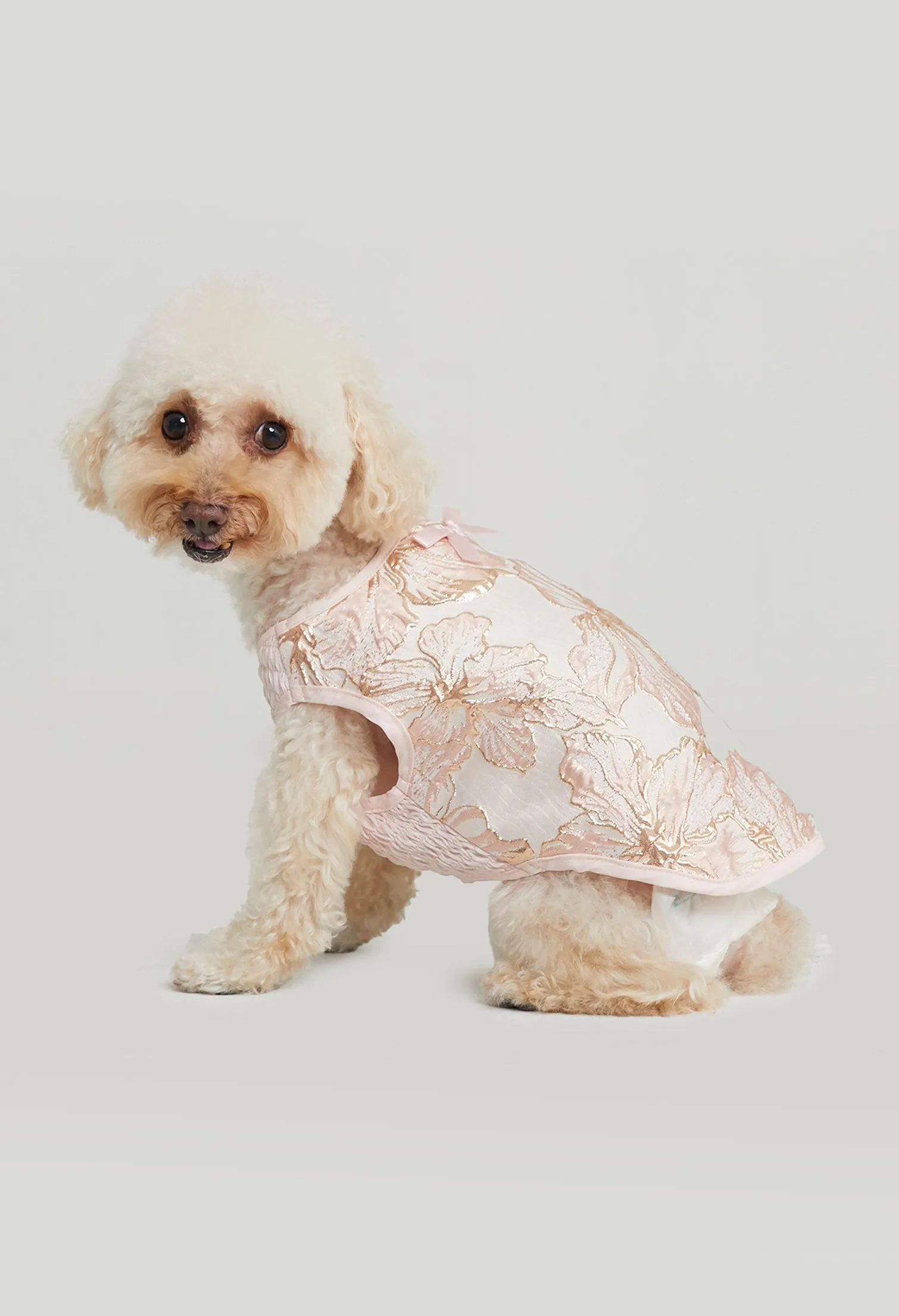 Belle Soirée Poppy Pet Dress