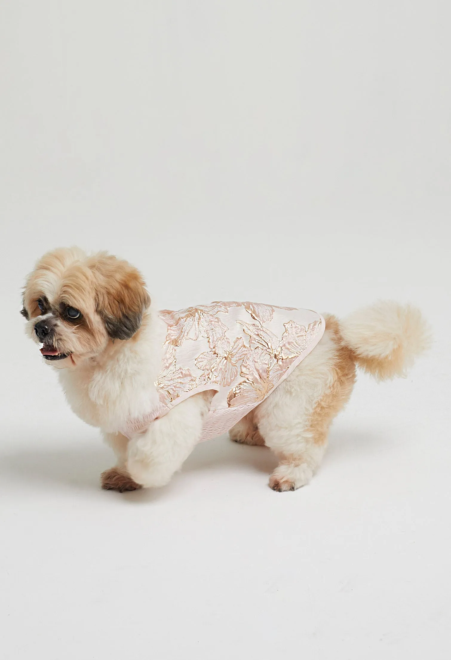 Belle Soirée Poppy Pet Dress