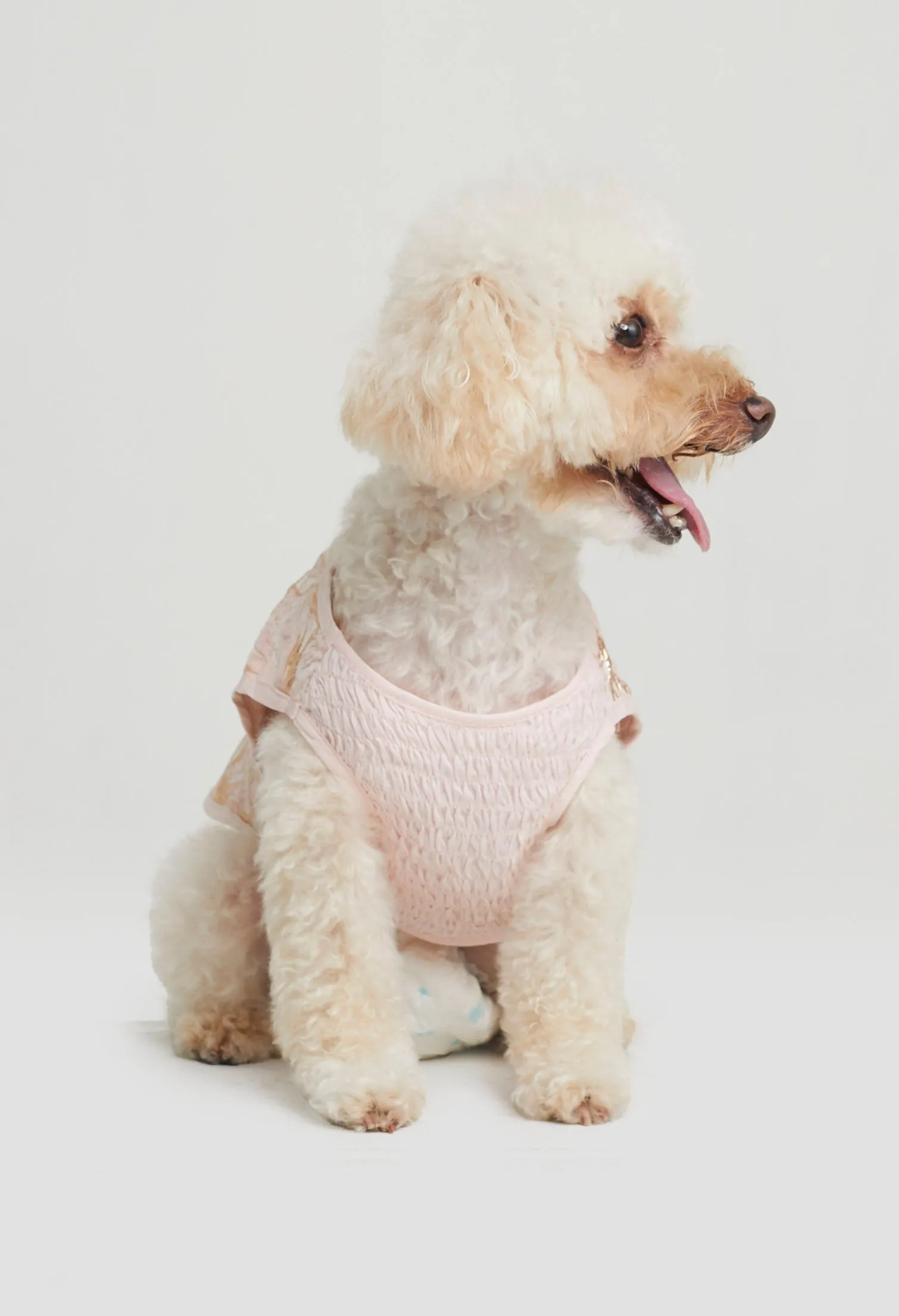 Belle Soirée Poppy Pet Dress