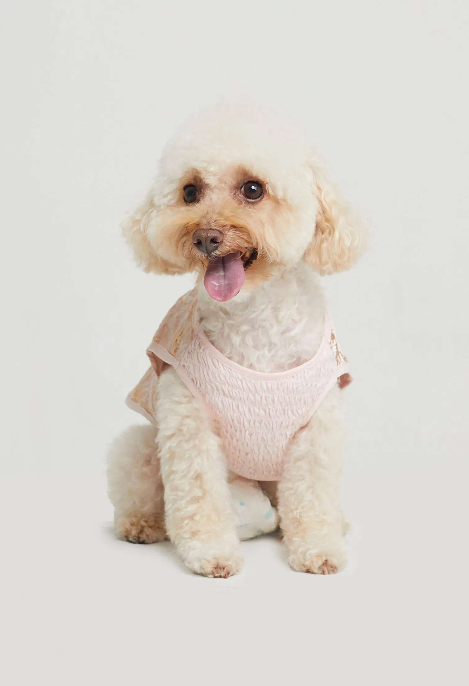 Belle Soirée Poppy Pet Dress