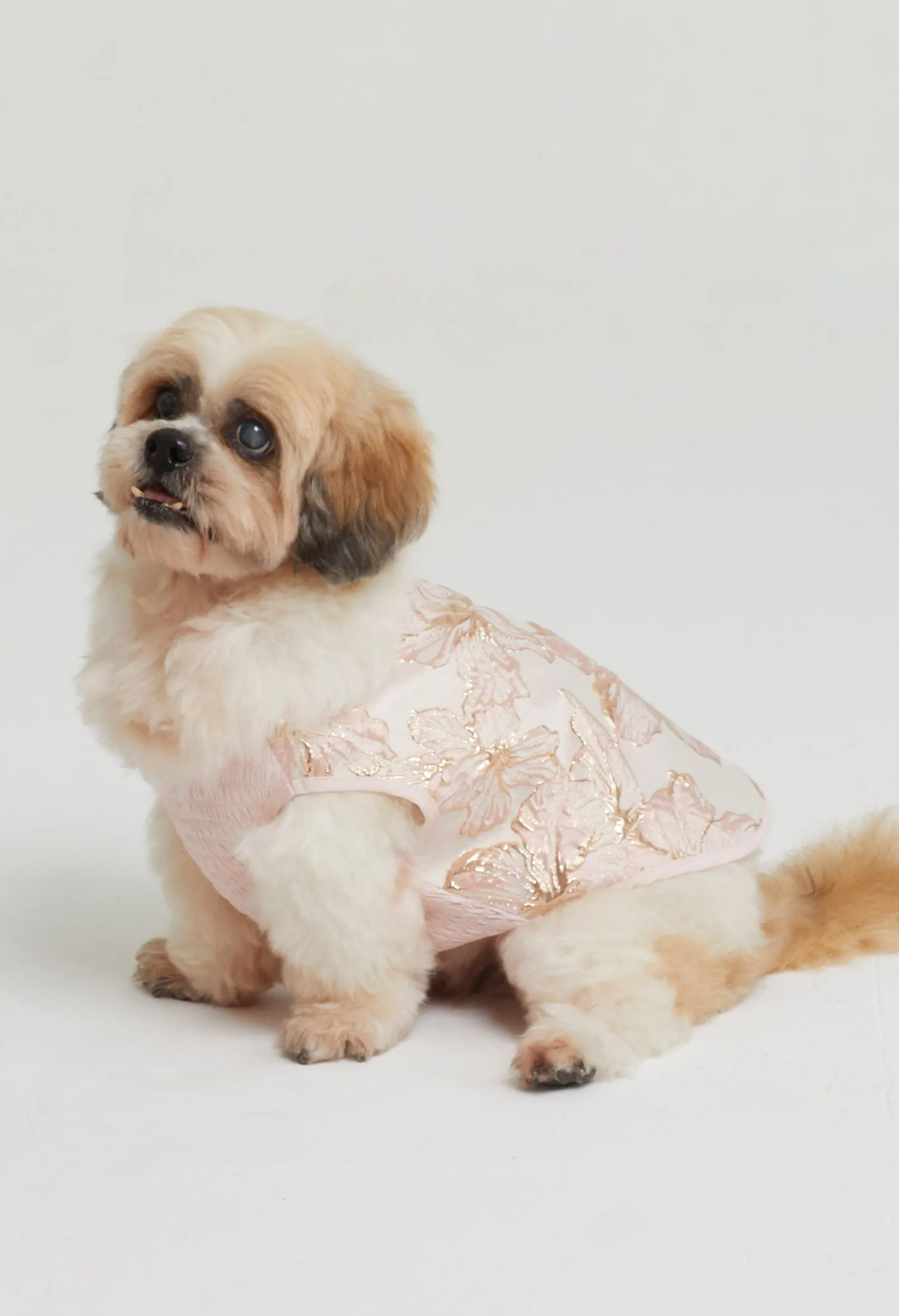 Belle Soirée Poppy Pet Dress