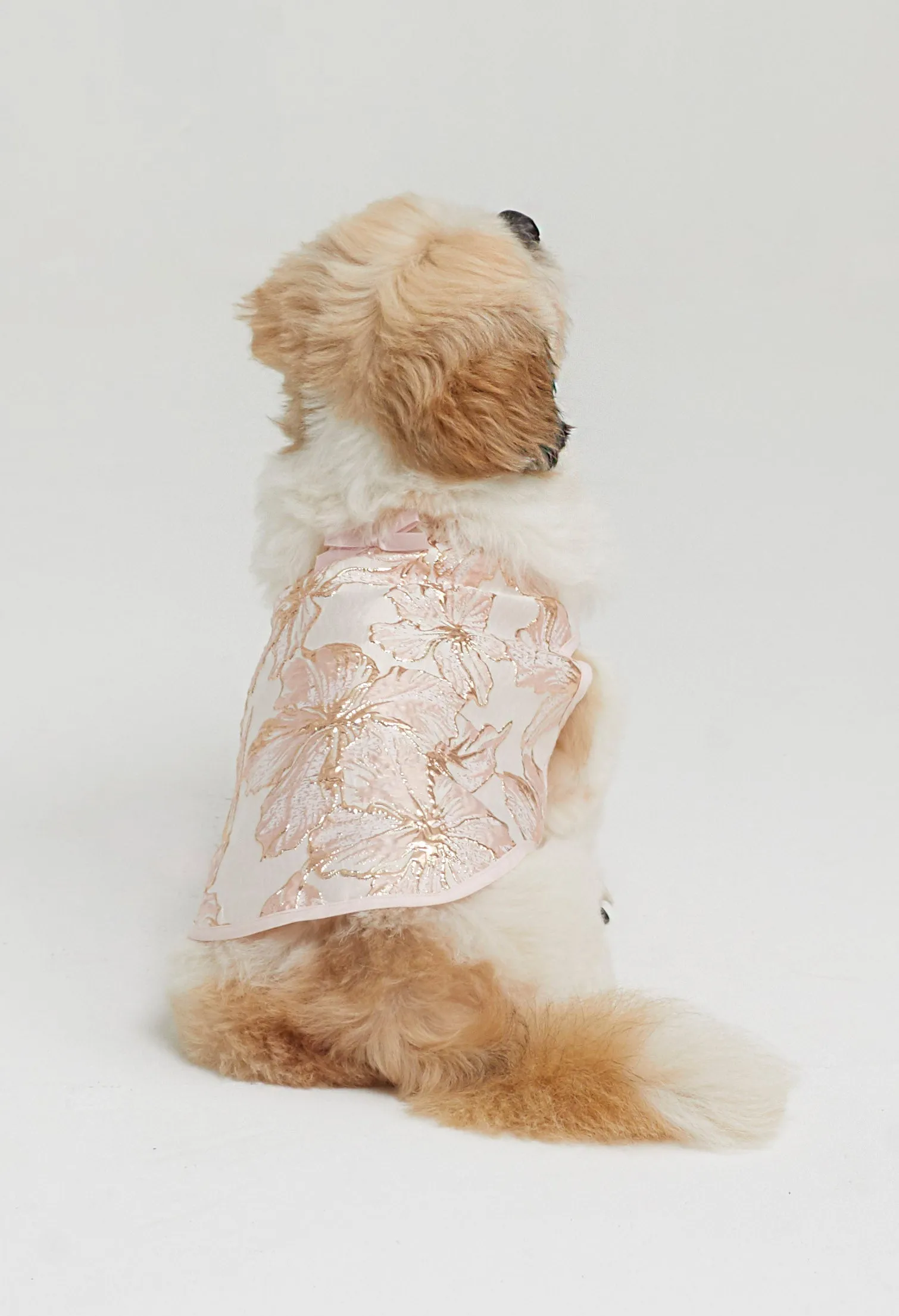 Belle Soirée Poppy Pet Dress