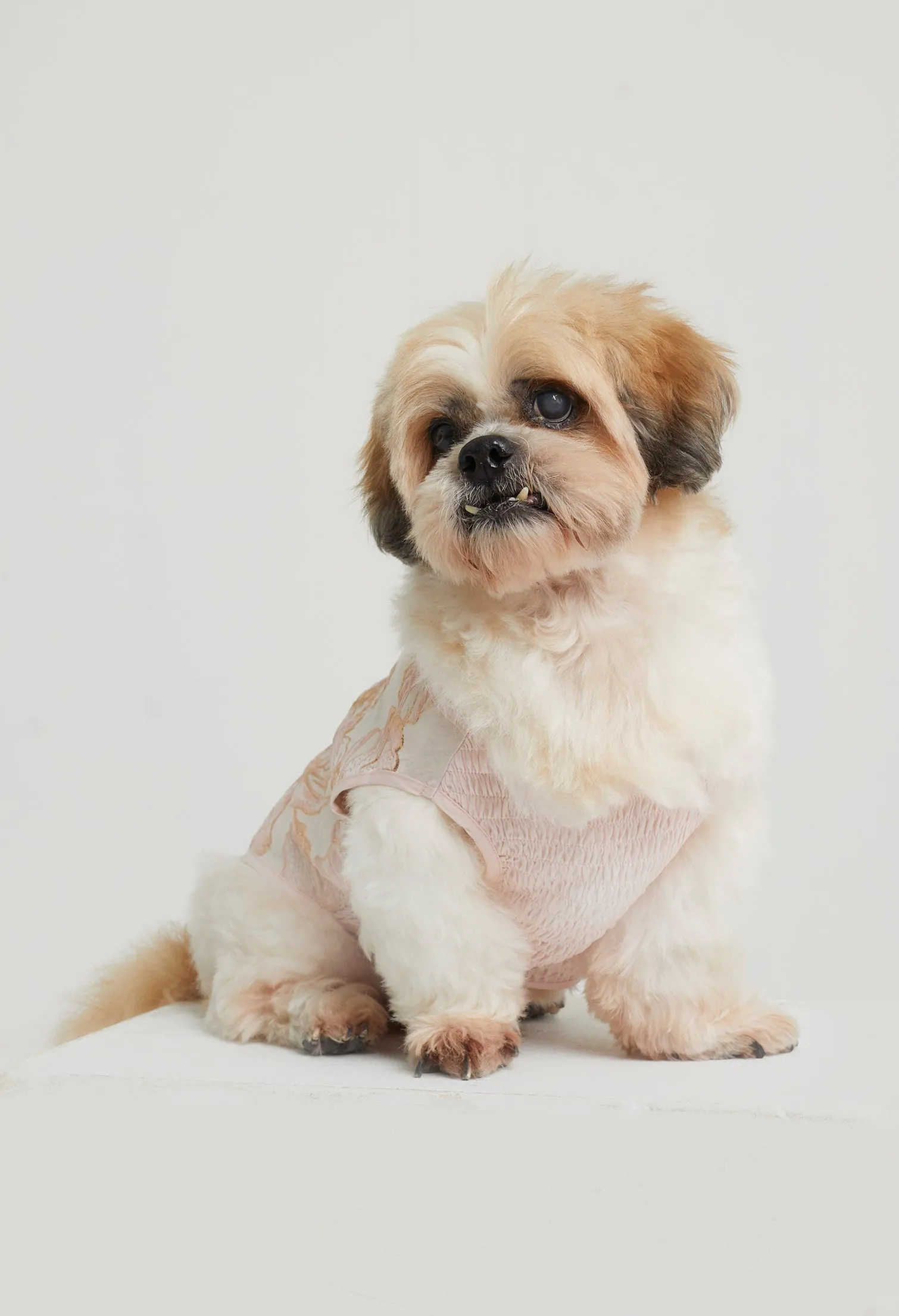 Belle Soirée Poppy Pet Dress