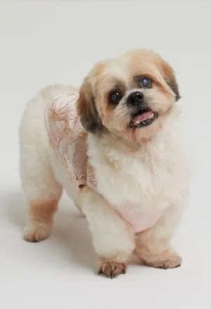 Belle Soirée Poppy Pet Dress