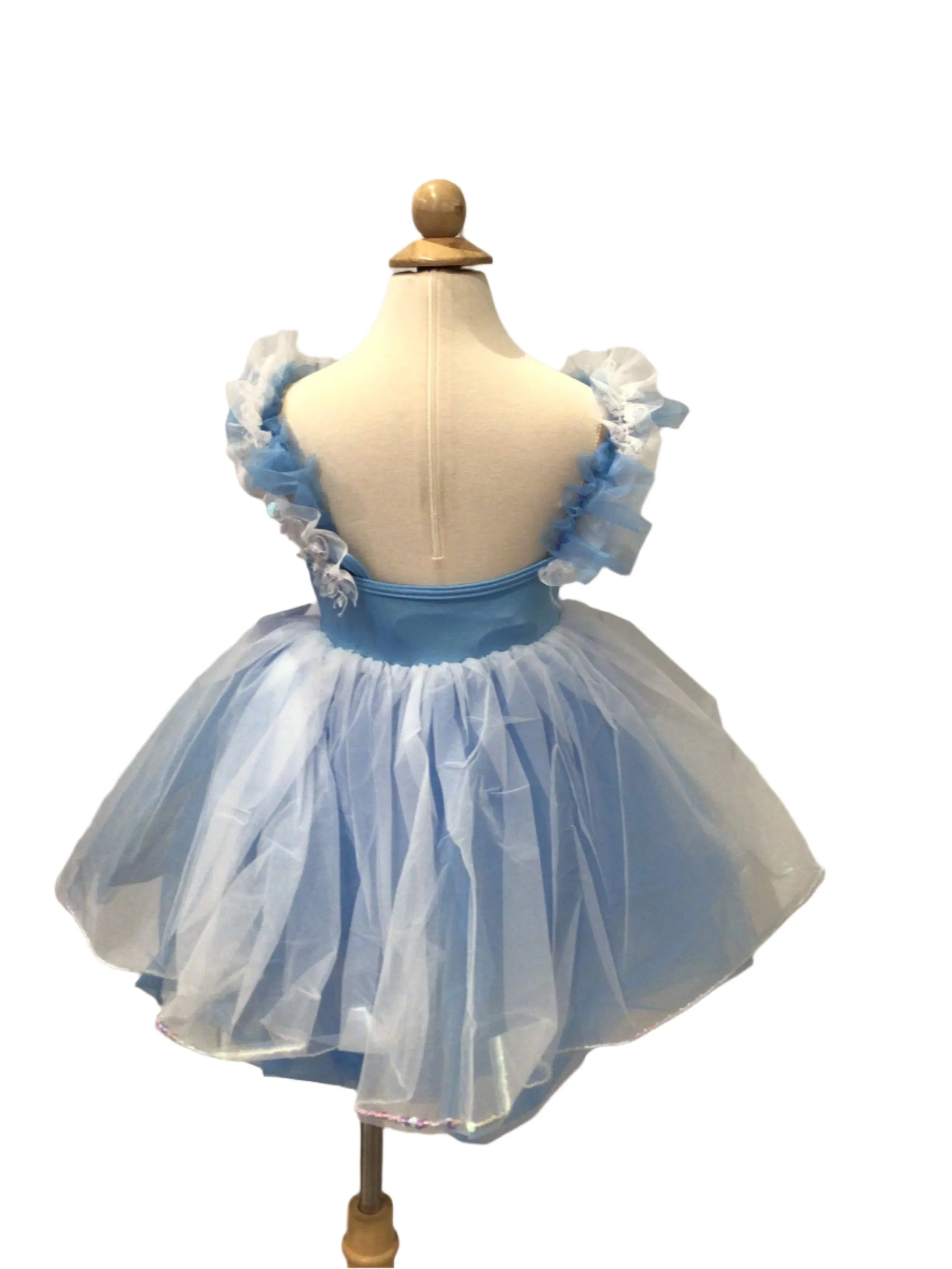 Blue and White Empire Waist Ballet Dress