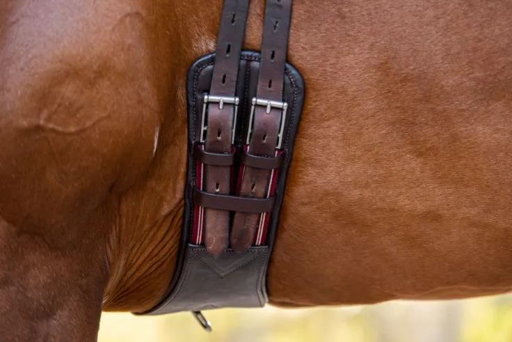 Cavalier Elastic Two Buckle Girth Black