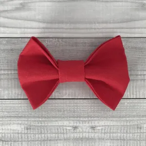 Cinnamon Dog Bow