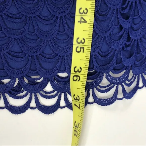 Cremieux Blue Lace Overlay Sleeveless Dress 12