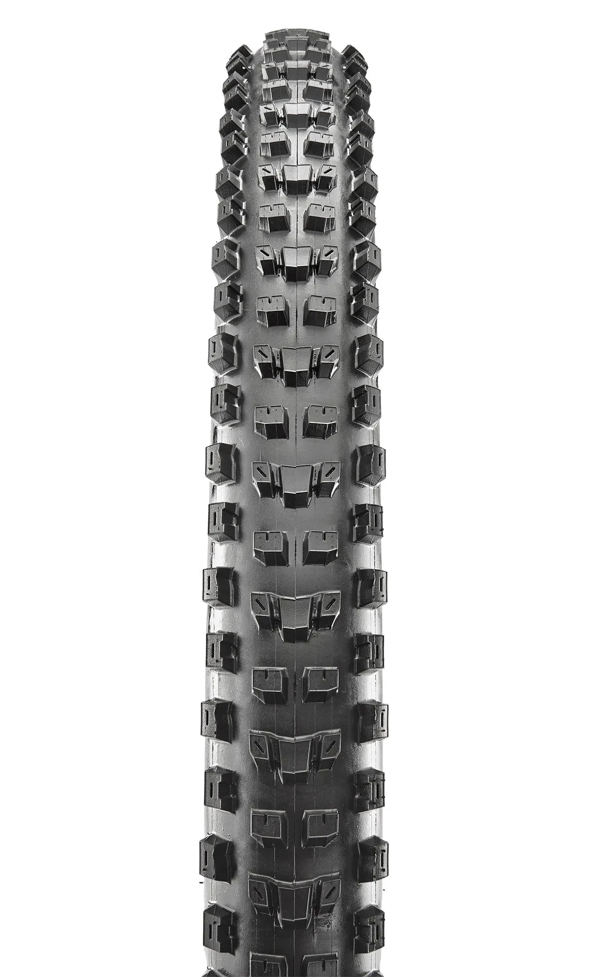 Dissector - 27.5 X 2.40WT - Foldable, 3C Maxx Terra, EXO , 120TPI, TR