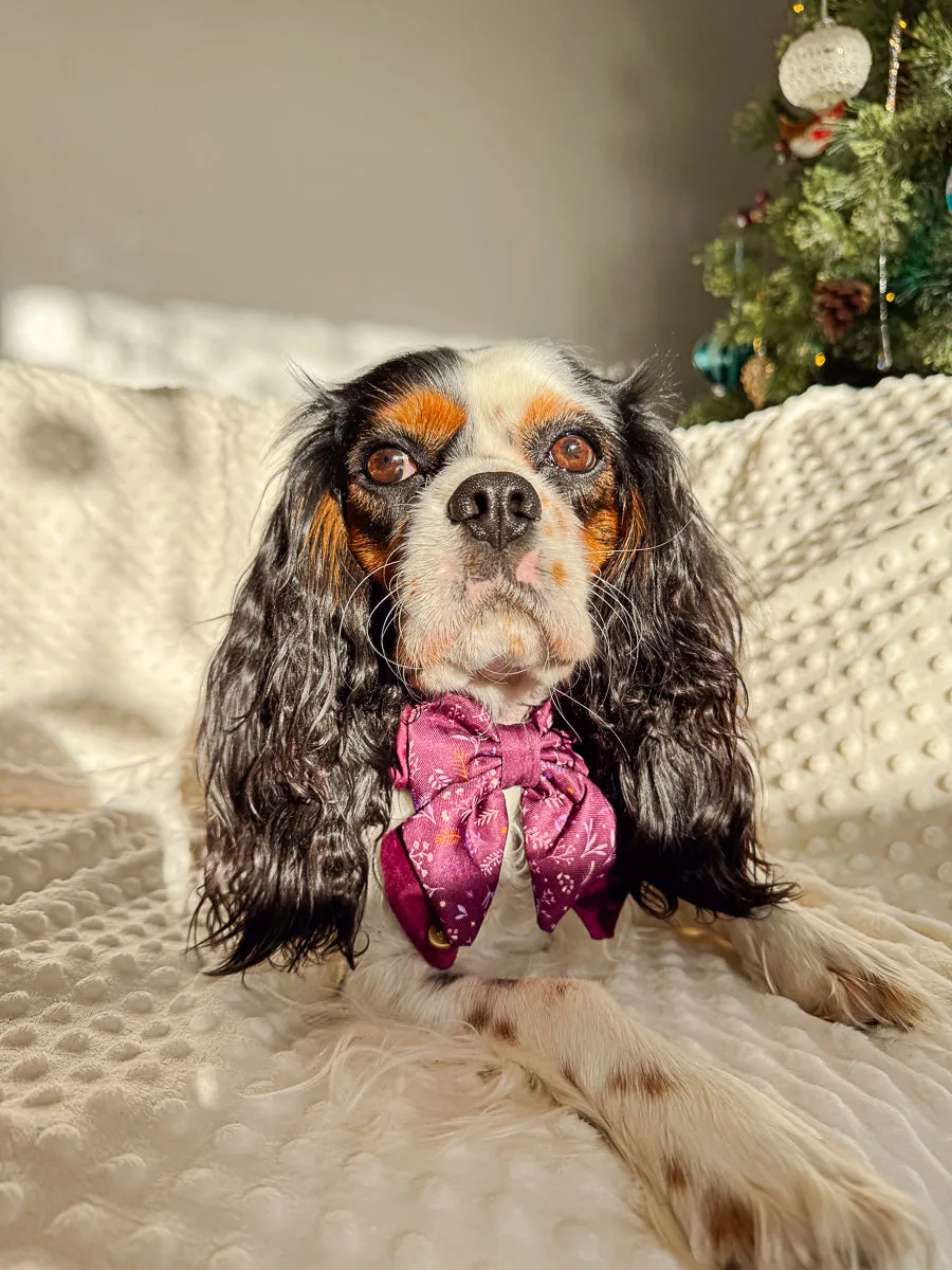 Dog Butterfly Bow Tie: Chiswick Fig