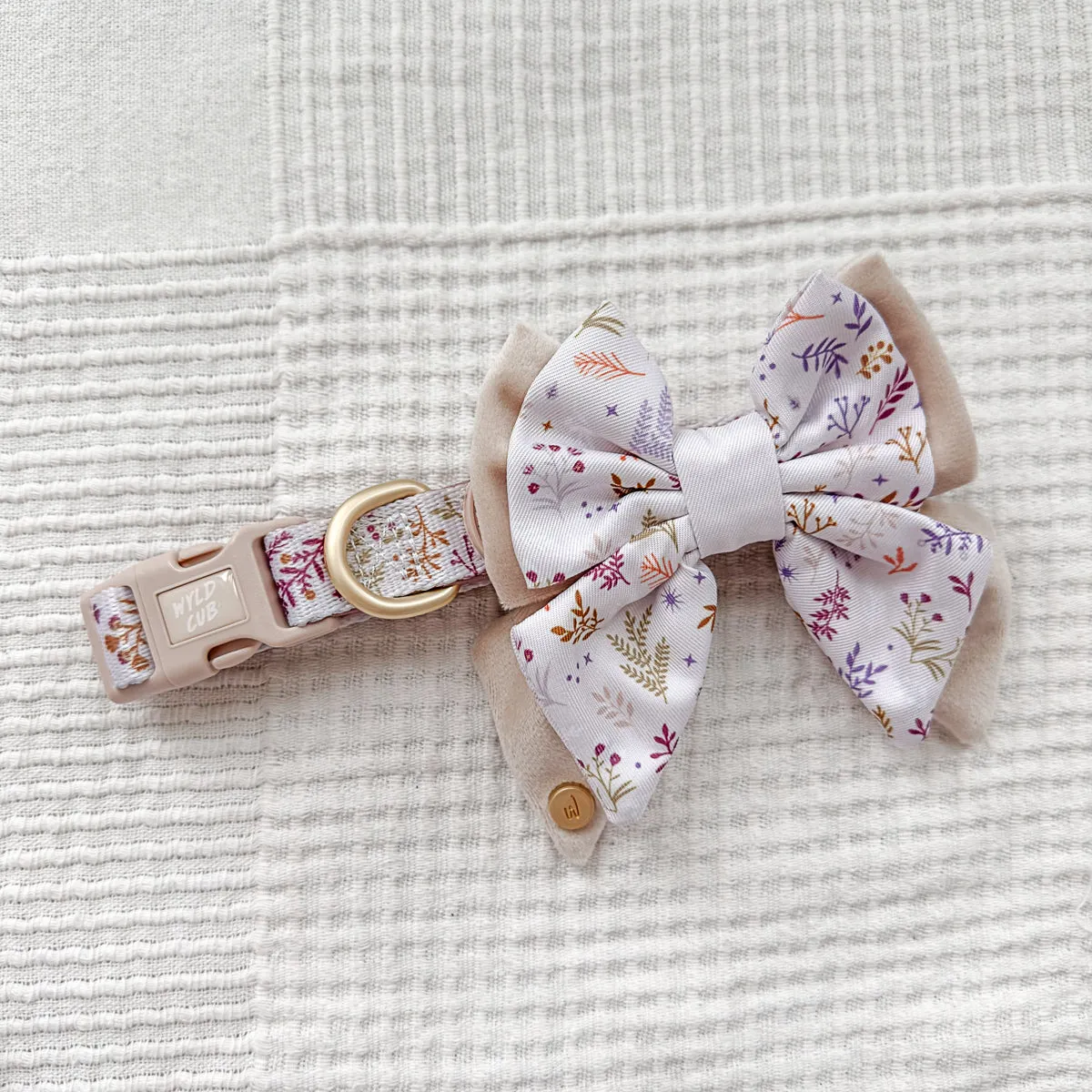 Dog Butterfly Bow Tie: Chiswick Oyster