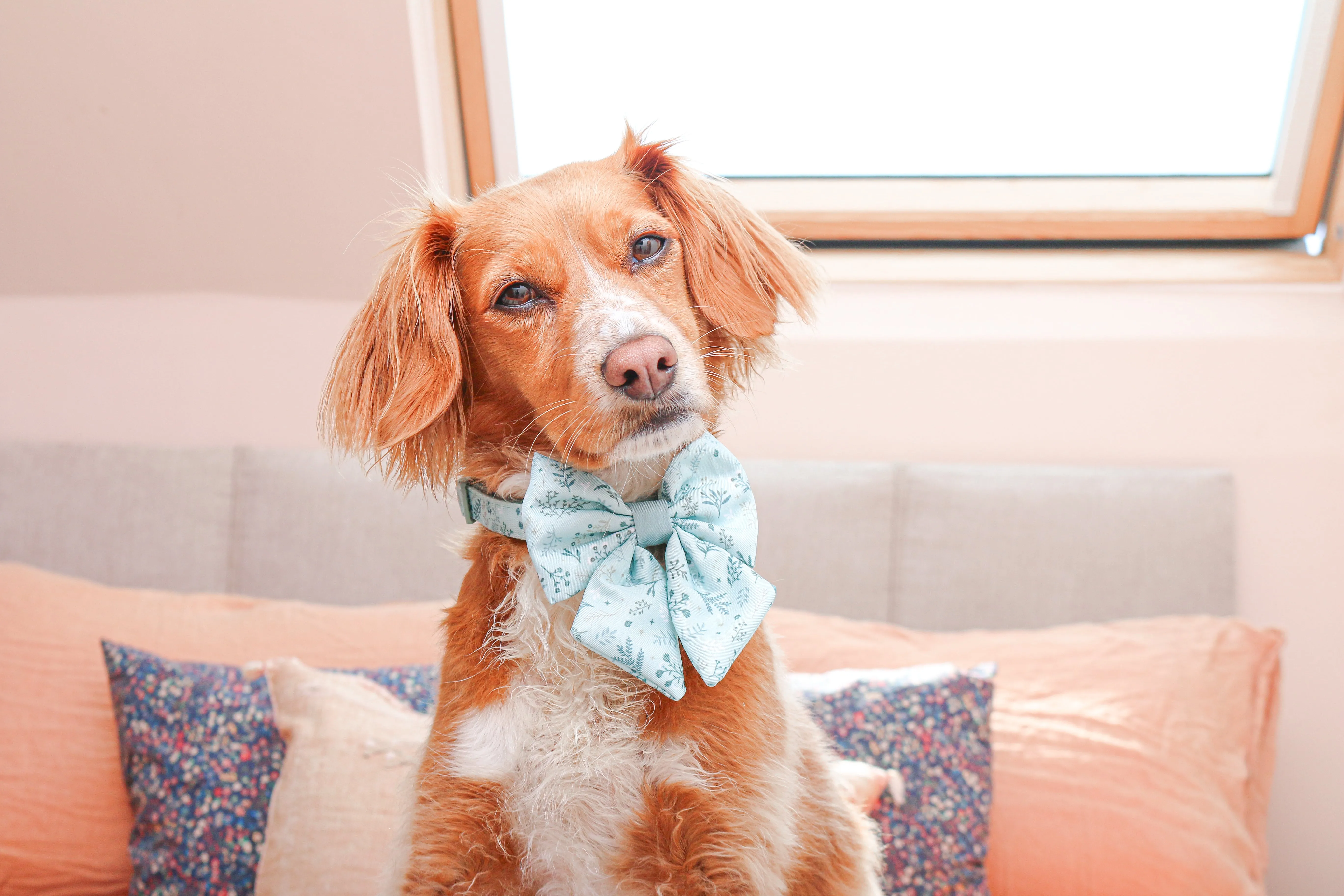 Dog Sailor Bow Tie: Chiswick Pistachio