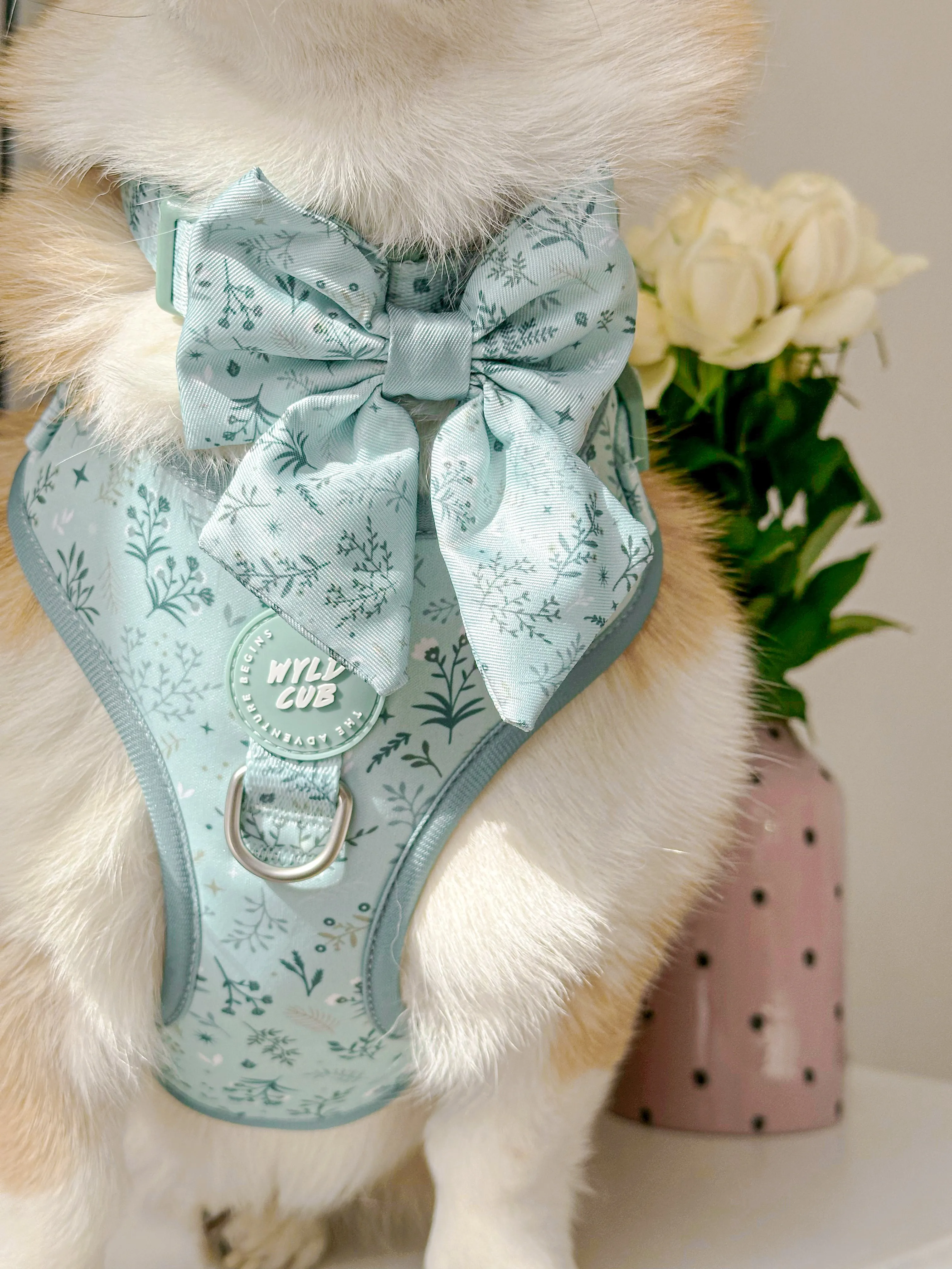 Dog Sailor Bow Tie: Chiswick Pistachio