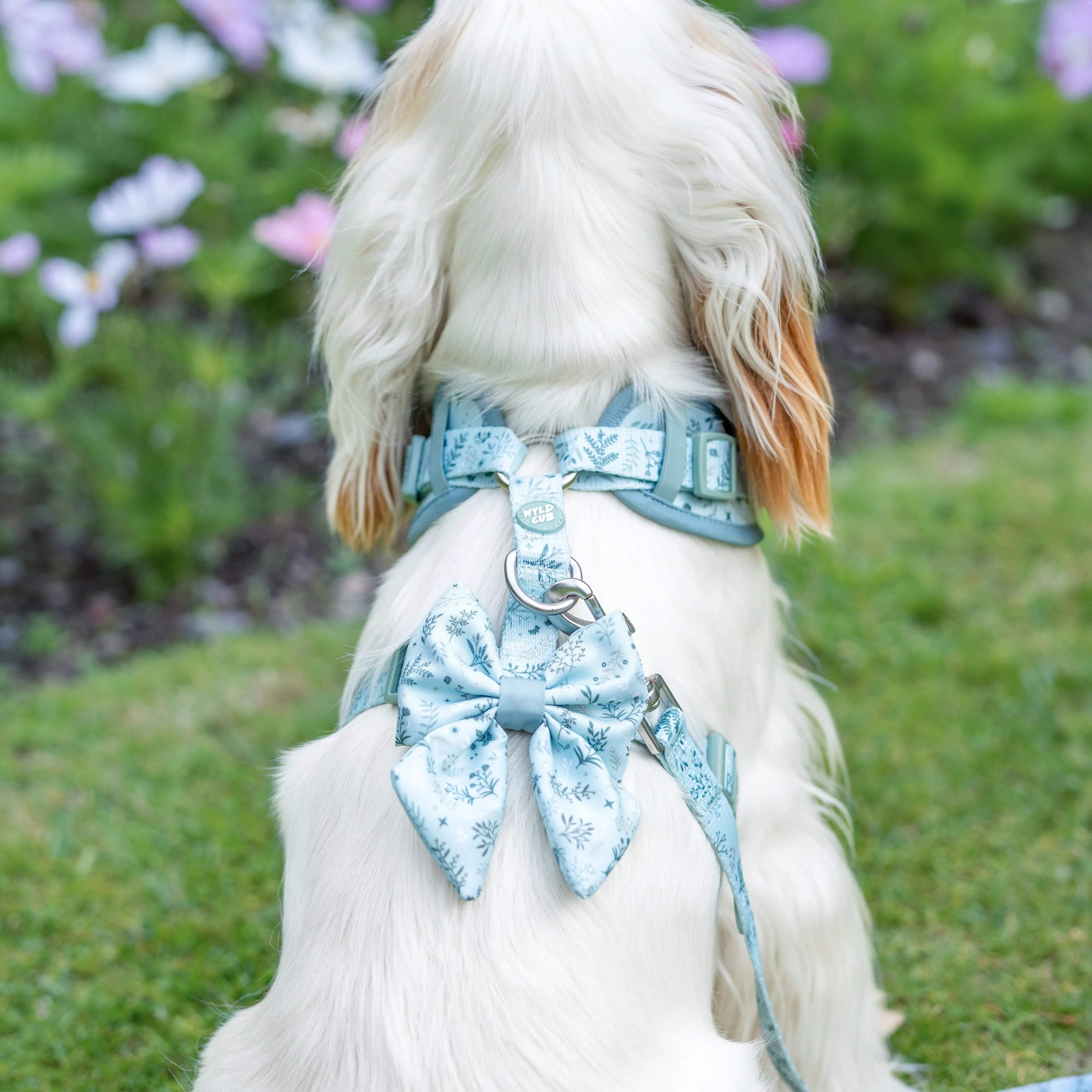 Dog Sailor Bow Tie: Chiswick Pistachio