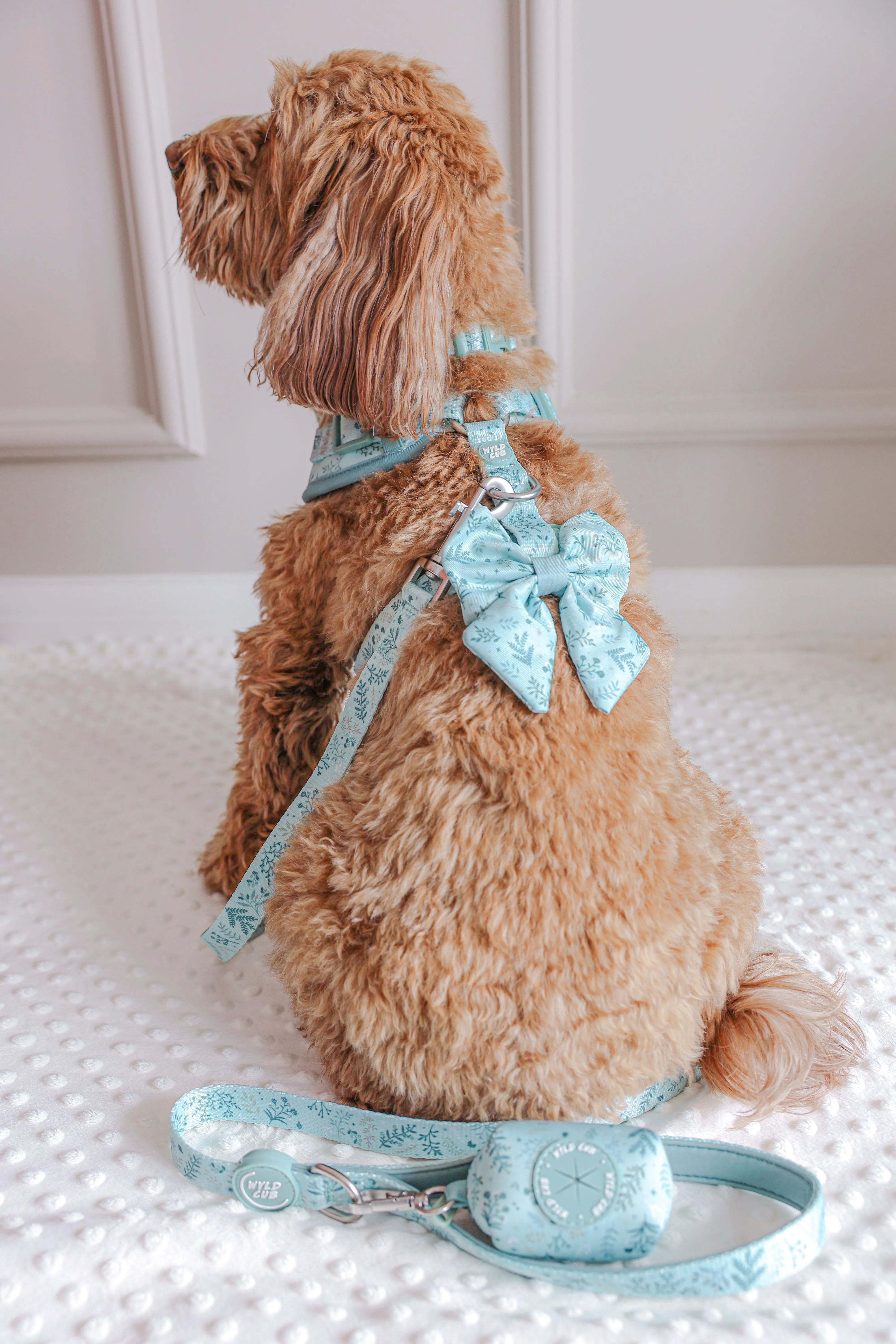 Dog Sailor Bow Tie: Chiswick Pistachio