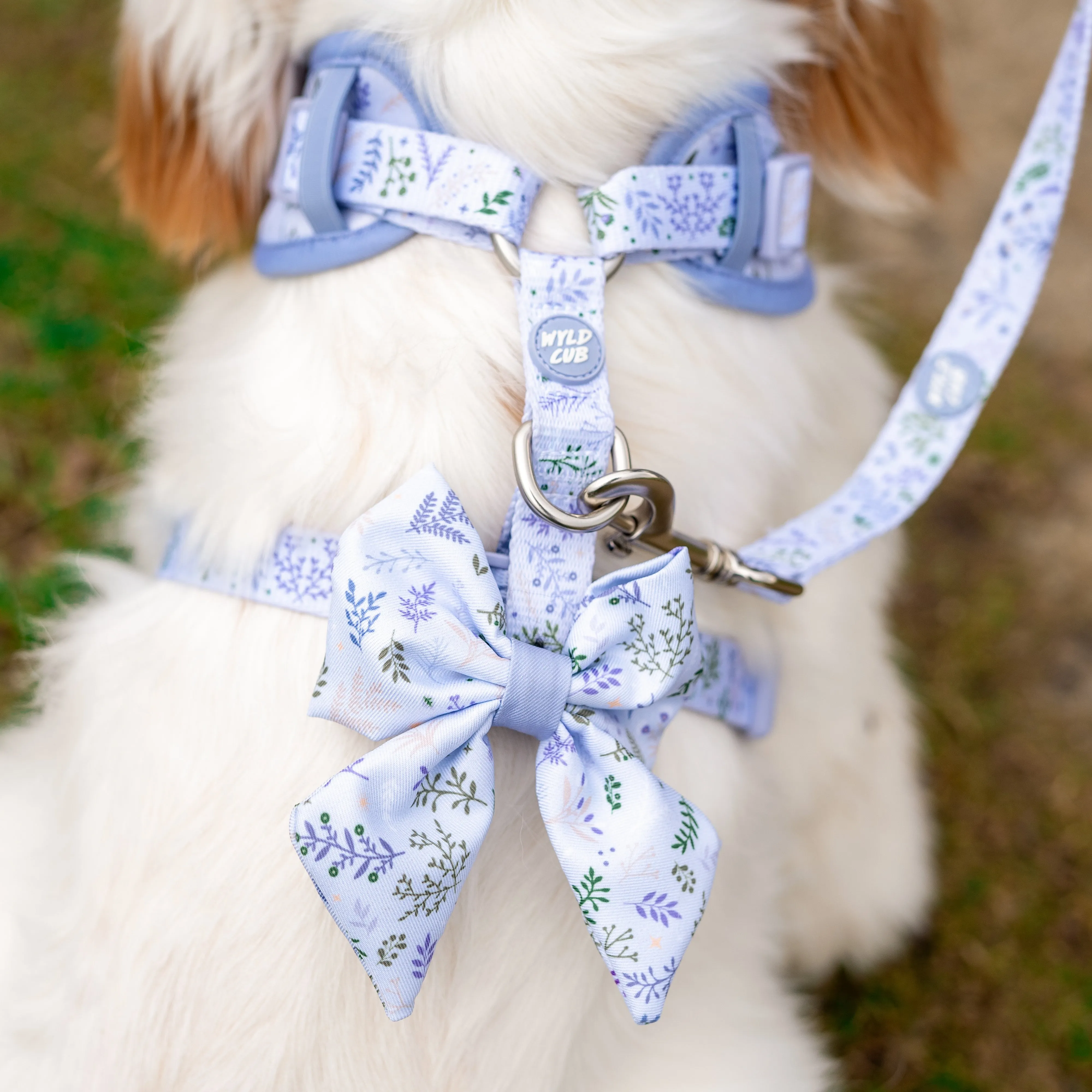 Dog Sailor Bow Tie: Chiswick Thistle