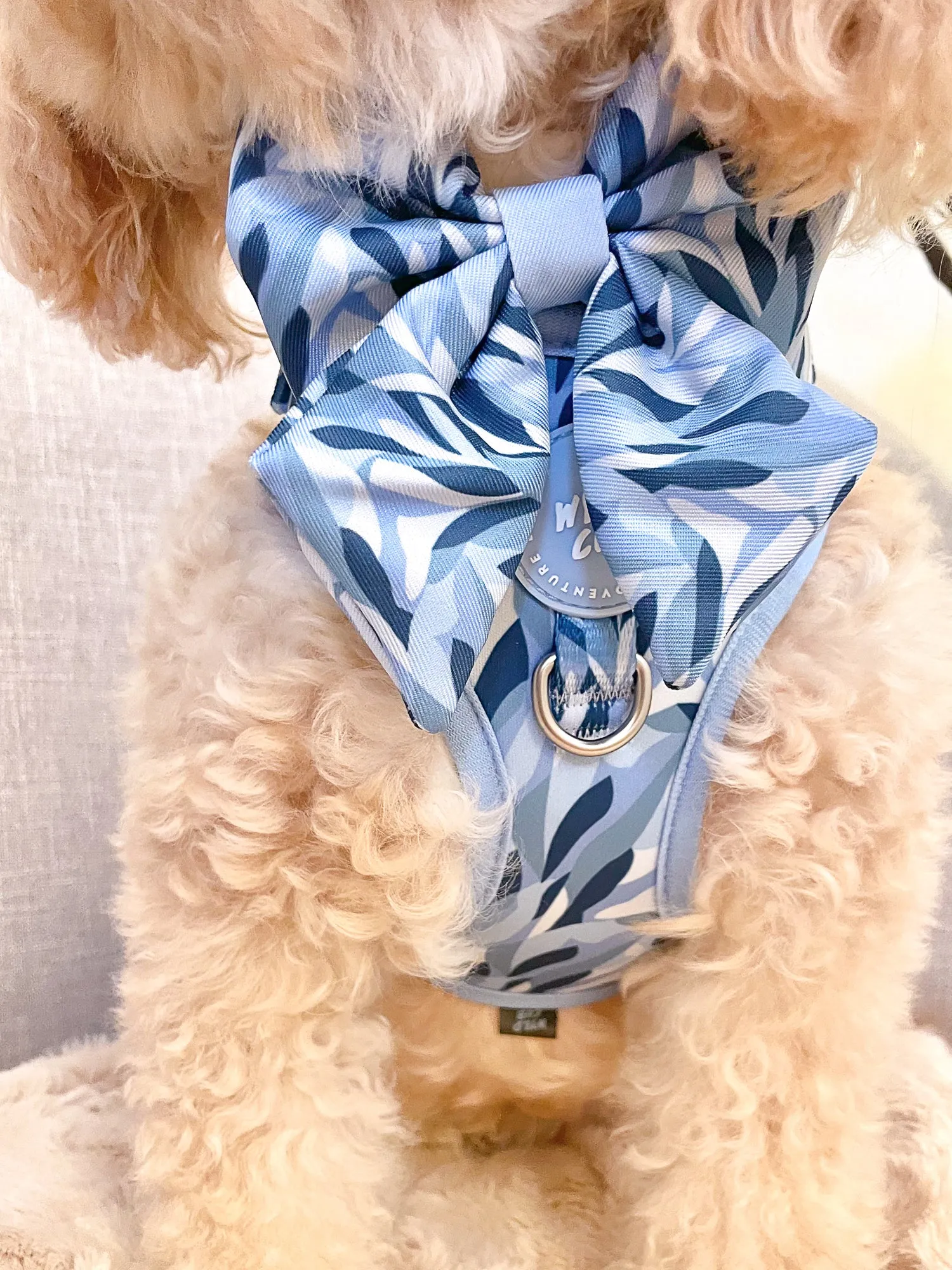 Dog Sailor Bow Tie: Kew Celeste
