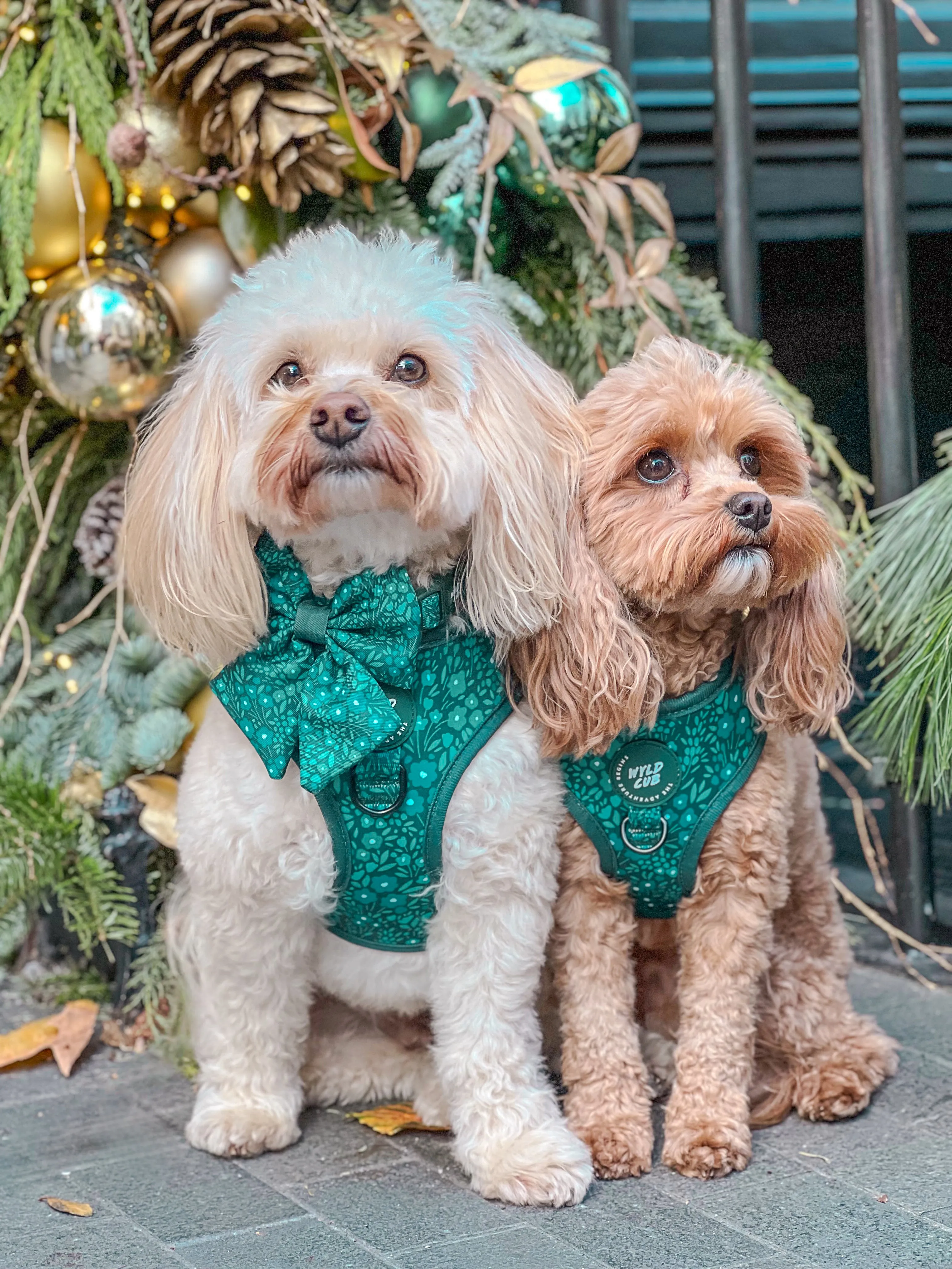 Dog Sailor Bow Tie: Notting Hill Gooseberry