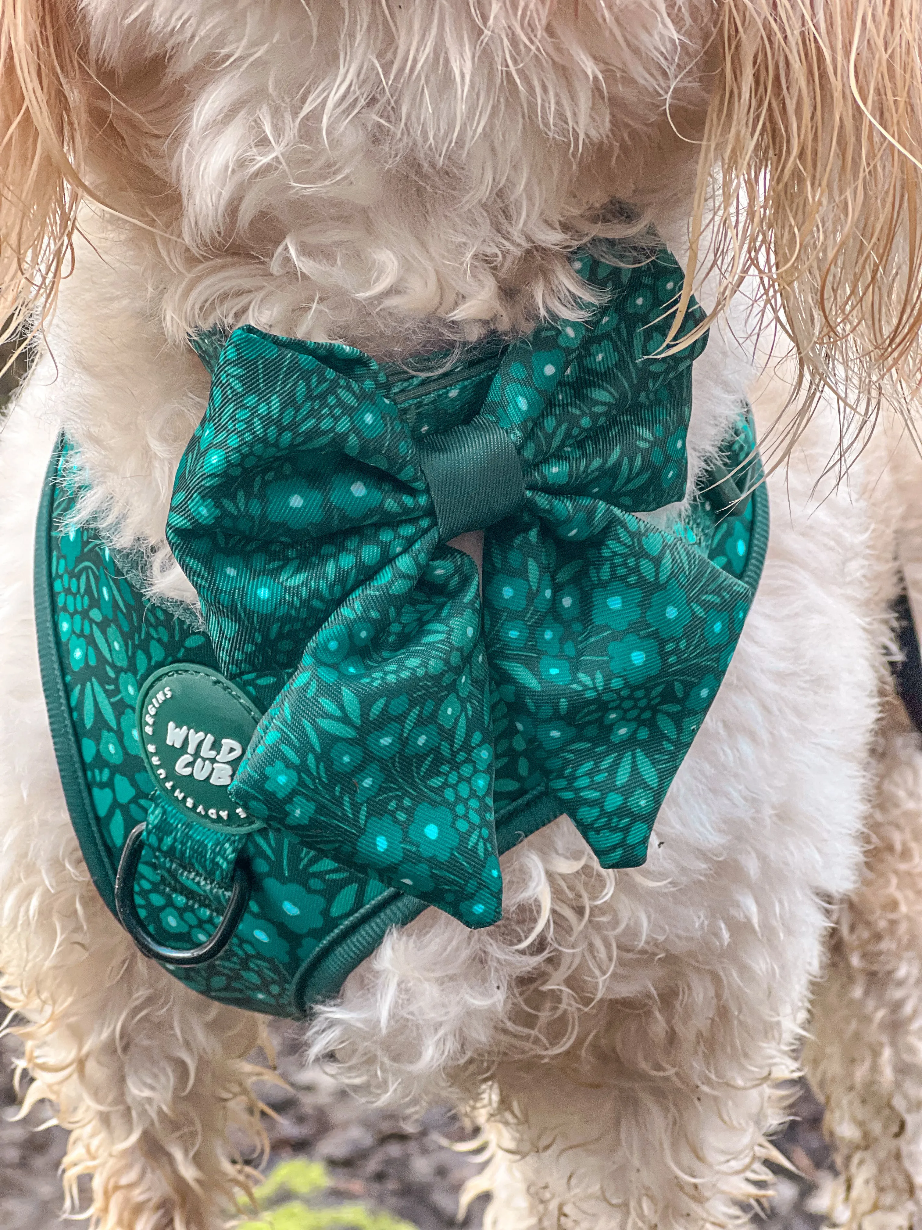 Dog Sailor Bow Tie: Notting Hill Gooseberry