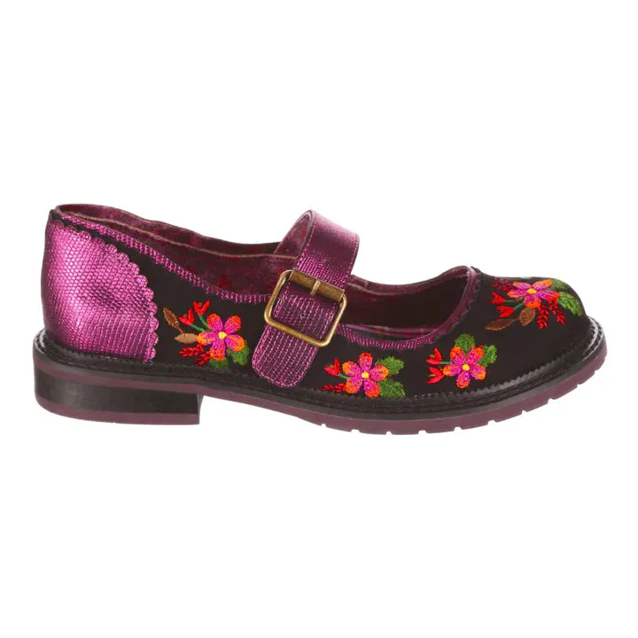 Hilltop House Black Bordo Flats