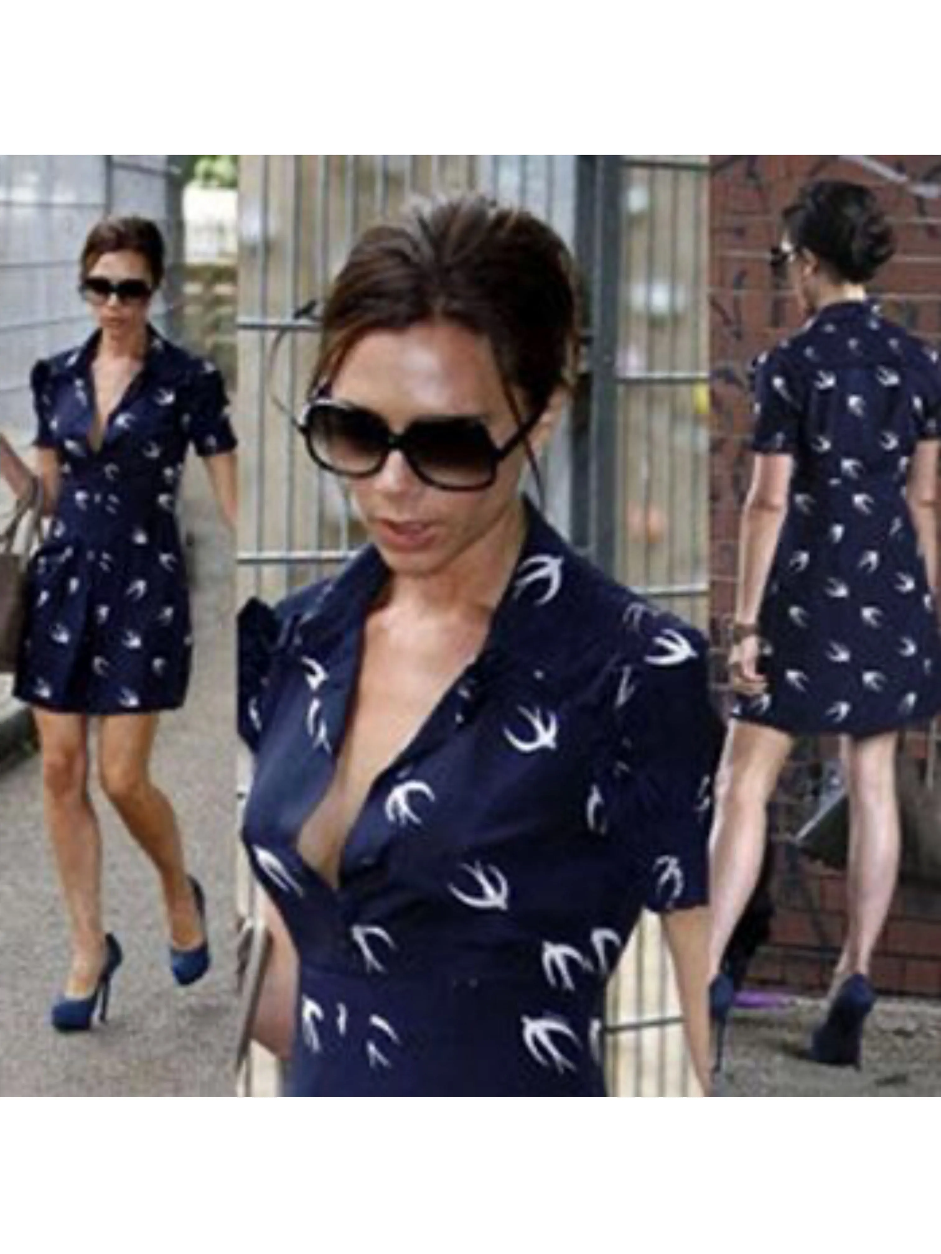 Miu Miu Spring 2010 Swallow Print Mini Dress