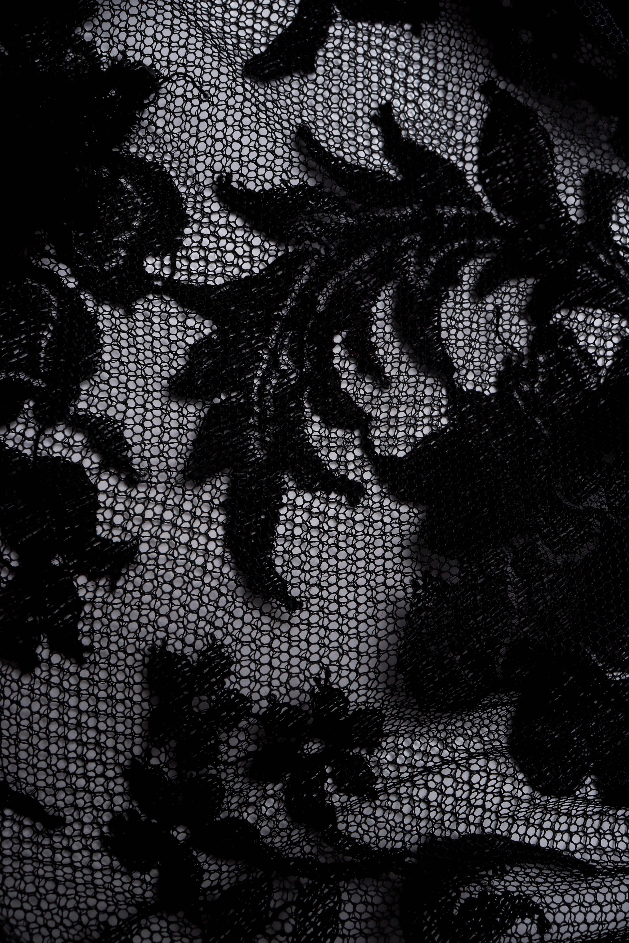 Sheer Lace Bow Dress