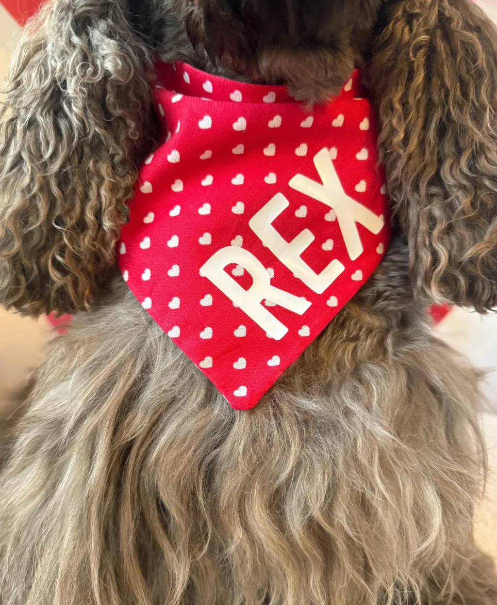 Valentine hearts Custom Scrunchie Dog Bandana