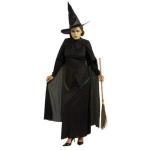 Wicked Witch Adult Size Std (As 887379 Std)